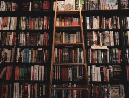 Shelves of Books - Rewriting the Script: Creating a Customized MFA Program